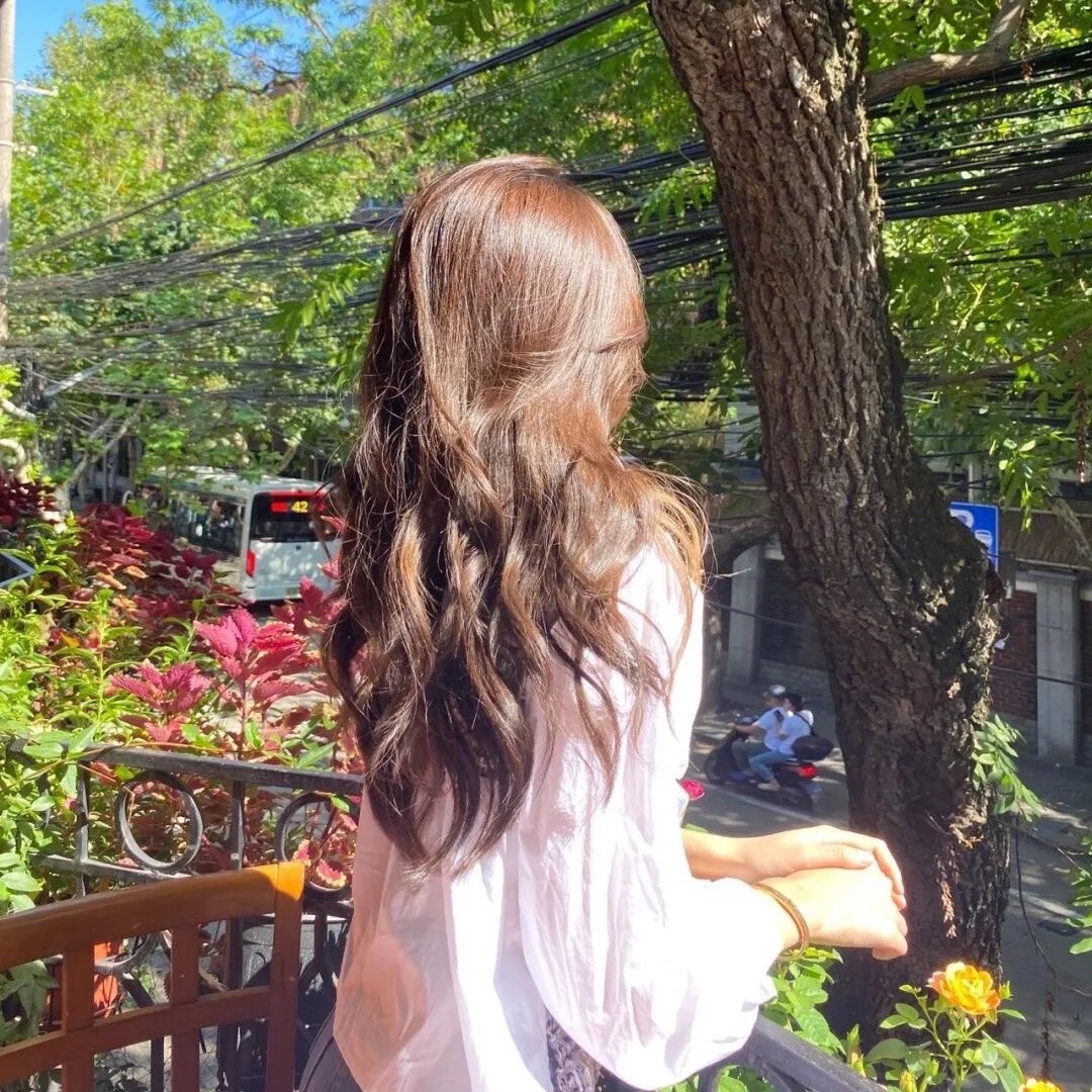 妙探双龙